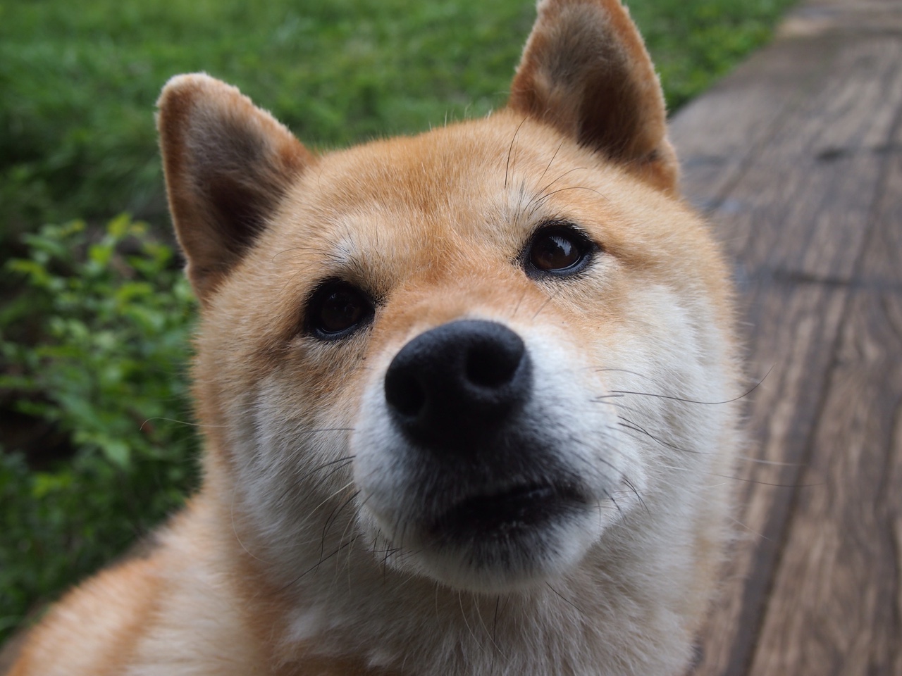 NBA球队防守策略调整,nba球队防守效率