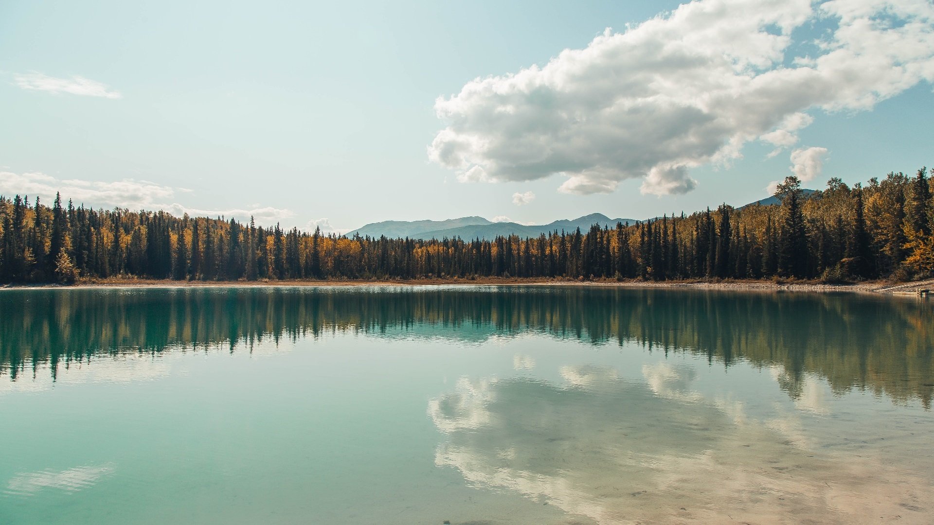 中小学体育活动组织与管理模式创新,中小学体育教育与活动指导