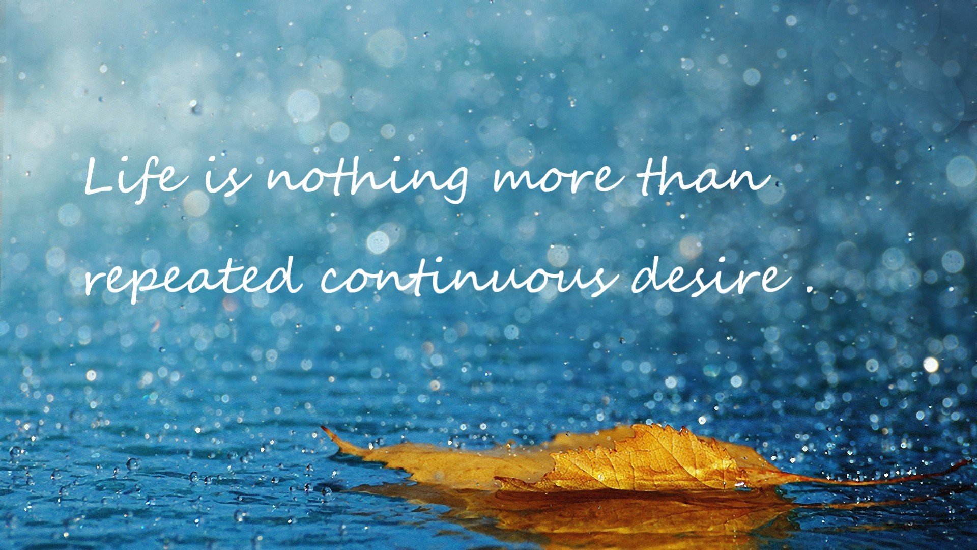 全国电竞精英赛高校组展实力,全国高校电竞超级联赛