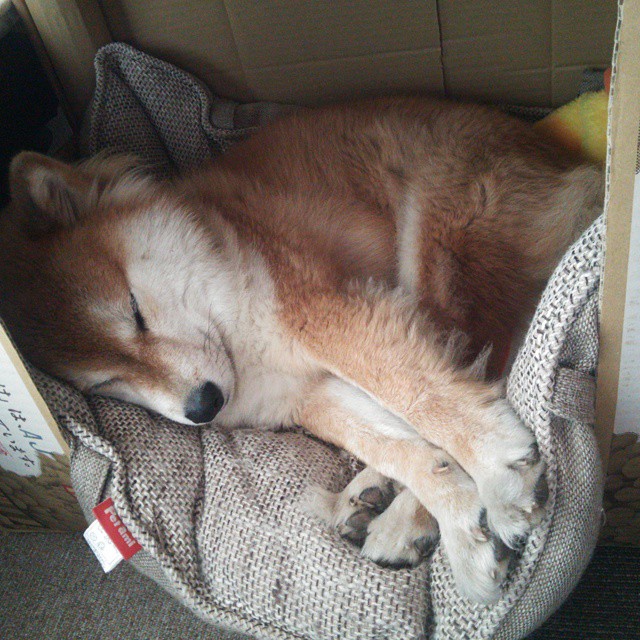 全国青少年羽毛球联赛火爆开启,未来之星崭露头角,全国青少年羽毛球比赛名单