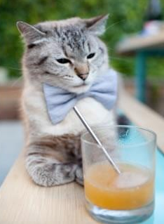 足球公益:联赛中的慈善行动与社会责任,足球公益活动标语