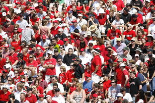 leyu乐鱼体育综合-高校体育赛事观众体验提升策略研究，体育赛事审美体验