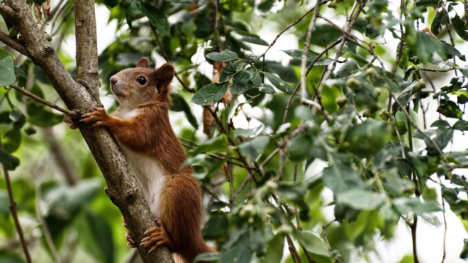 高校体育赛事观众体验提升策略研究,体育赛事审美体验