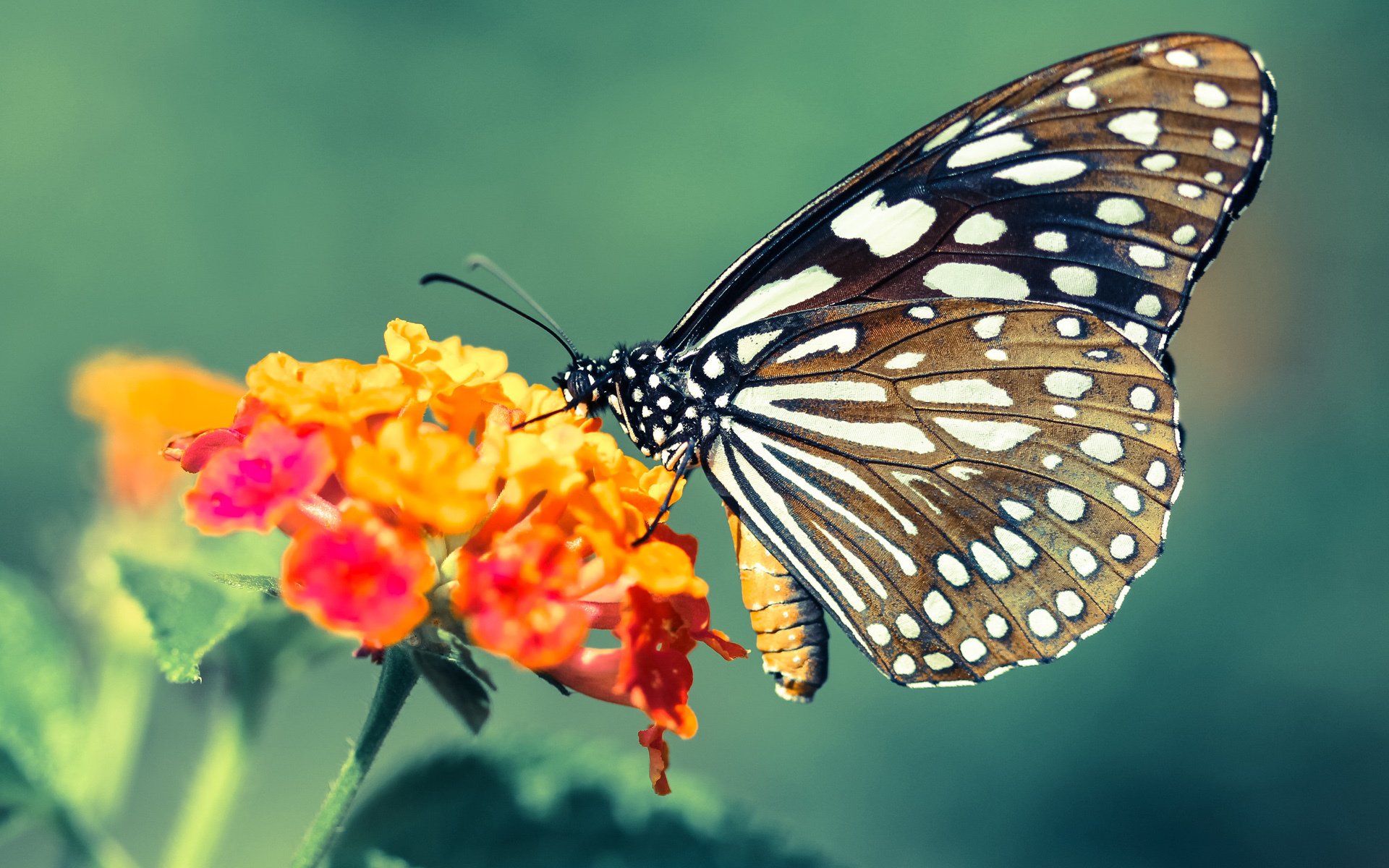 中国男篮提升罚球稳定性减少关键失分,中国男篮新规则