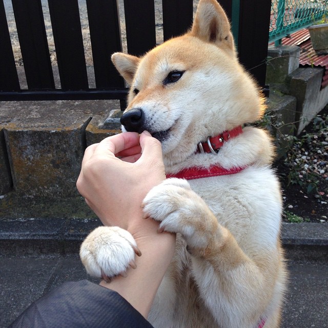 亚洲杯中国队战胜 球迷期待更高突破,亚洲杯中国对战