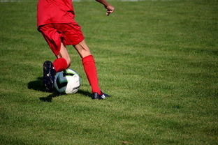 leyu乐鱼官网登录入口-体育新闻中心发布体育短视频内容运营新策略，体育短视频存在的问题