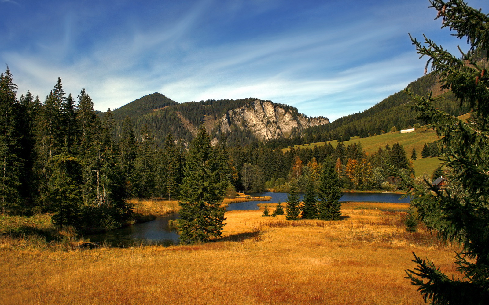 控球后卫如何根据场上局势调整推进节奏,控球后卫必备的6个技巧