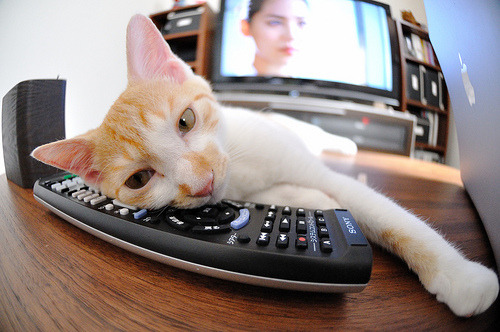 杨瀚森全能表现获得媒体一致好评,杨翰简历