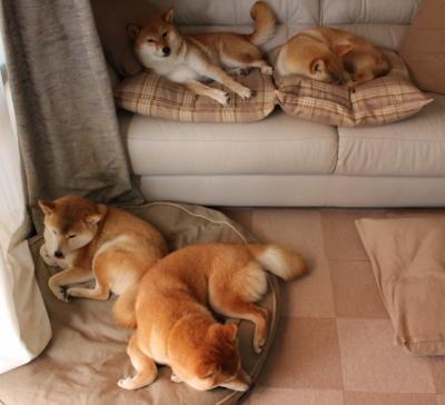 APP下载 LY Sports-球队心理策略如何助力保级黑马逆境持续发挥，球迷心理