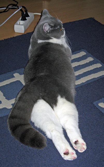 直播平台多角度切换丰富用户体验,直播平台多角度切换丰富用户体验怎么弄