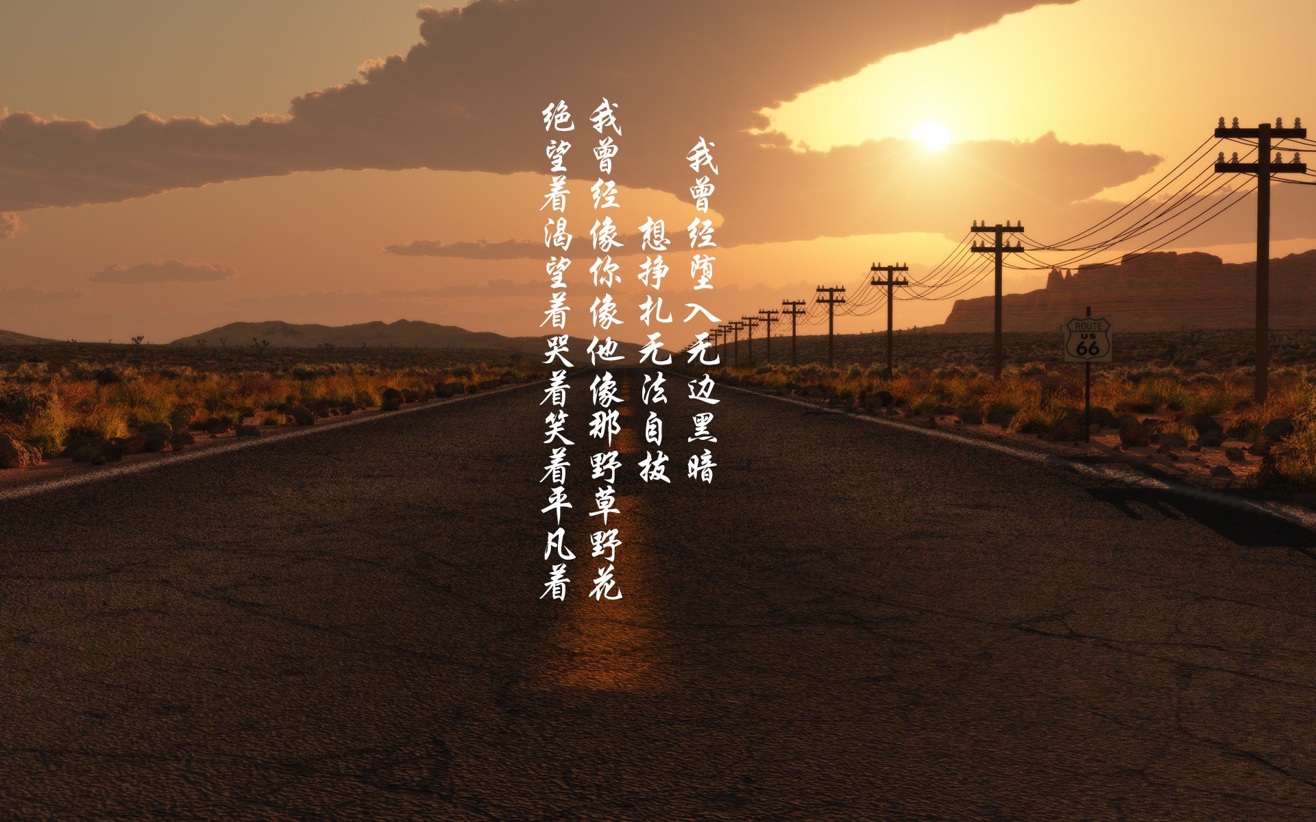 辽宁飞豹调整阵容结构适应不同比赛节奏,辽宁飞豹队员集体照