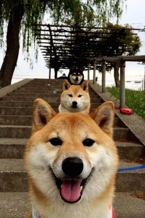 乐鱼电竞· (中国)官方网站-万乐天决赛精彩瞬间成为焦点，万乐天启蒙教练是谁