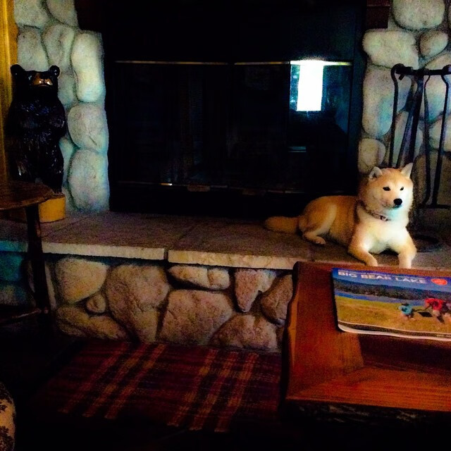 leyu.com-女子国家队主打地面传控打法提升整体节奏控制