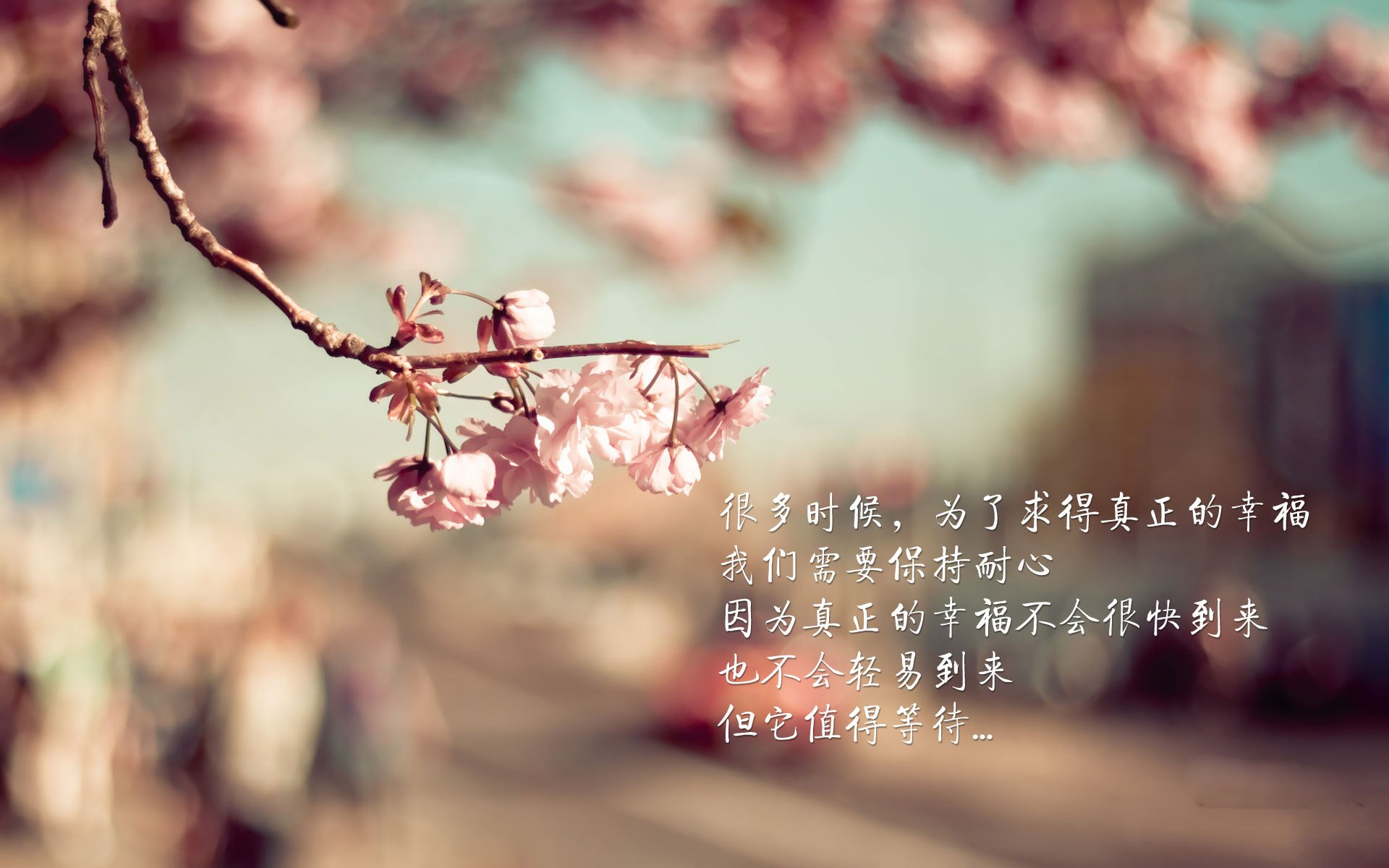 小国惊艳小组赛,战术执行力获国际赞誉,小国家队