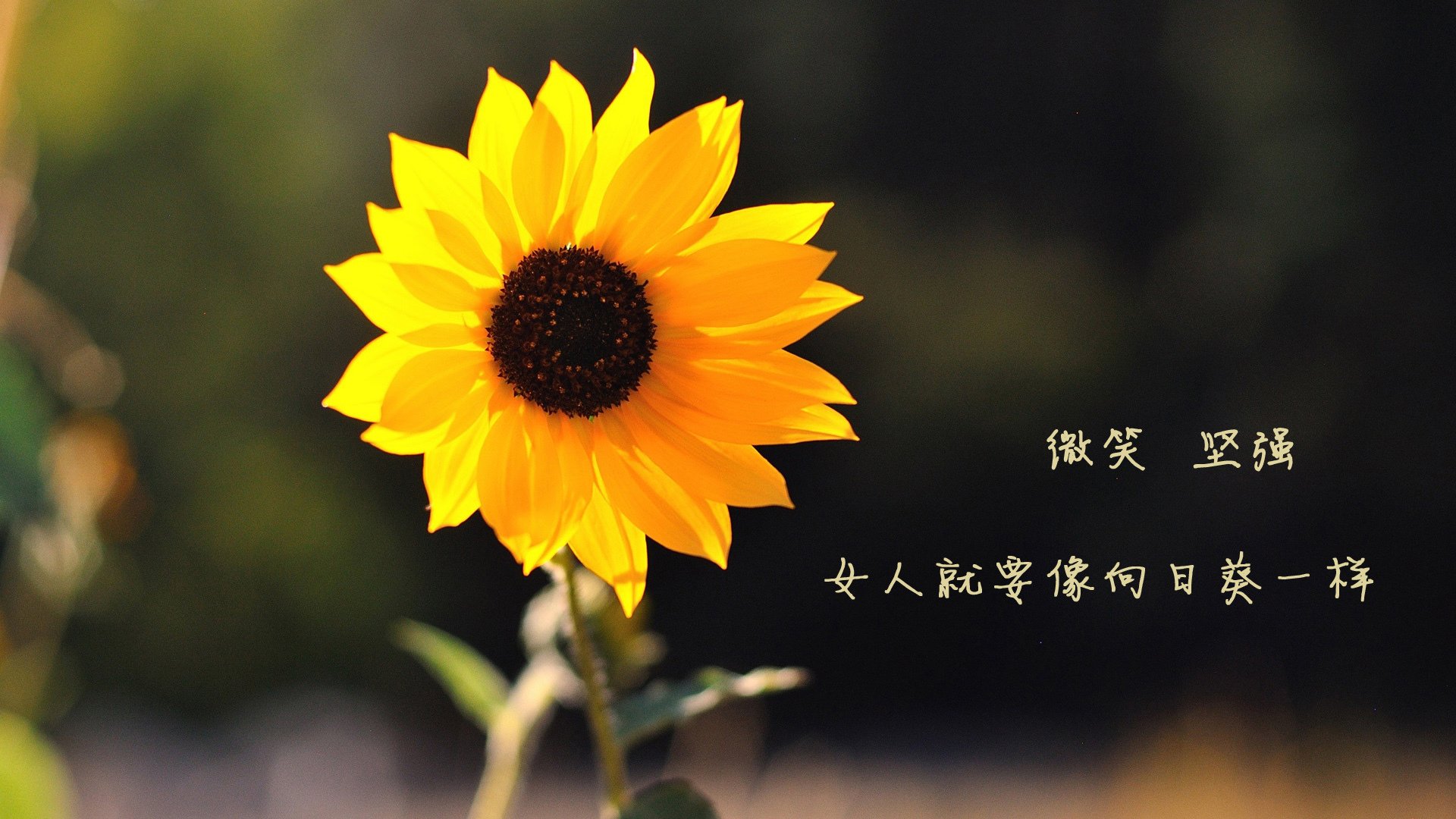 水球淘汰赛中立代表队A沉着应战,水球比赛中国队