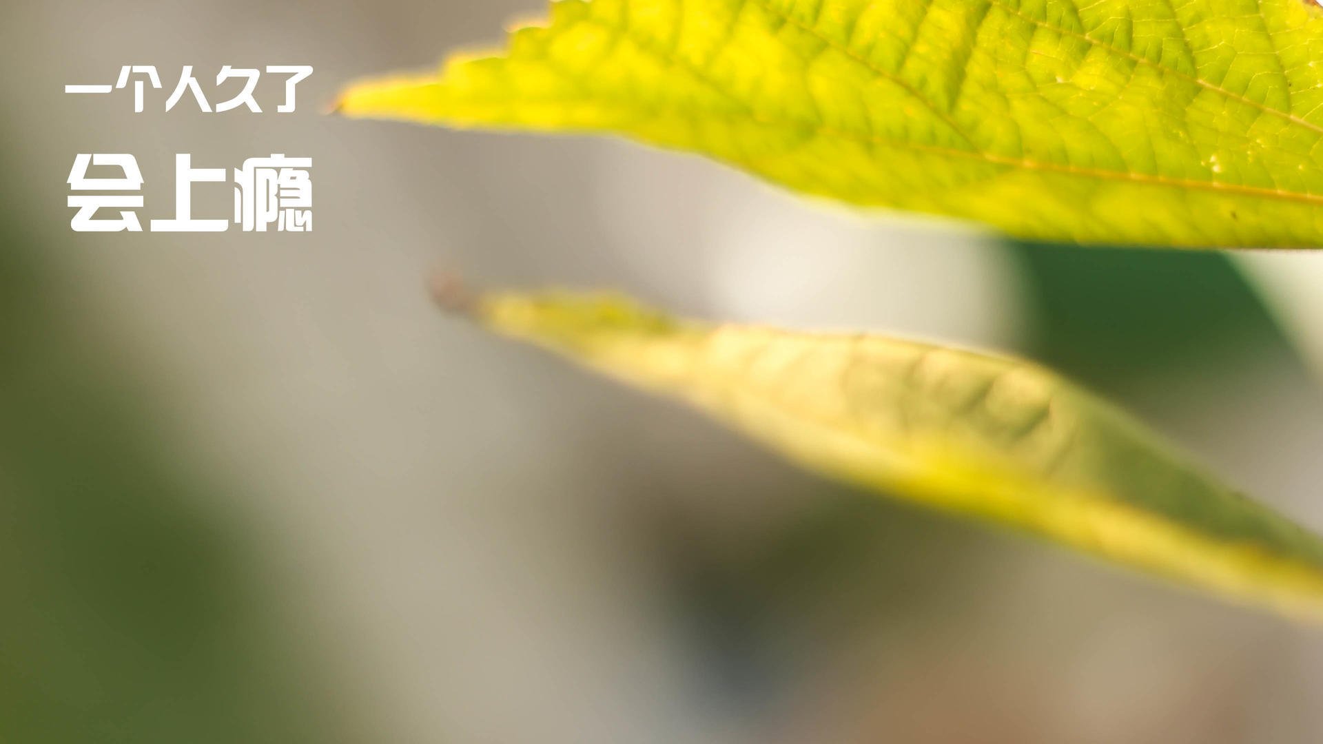 跳水环节中立代表队A表现持续进步，跳水运动队